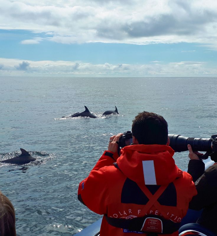 sortie en mer pour mission environnement, photo pour identification des dauphins, travaux maritimes