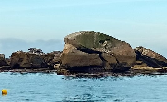 balade dans les Etocs pour voir les phoques gris et des roches avec des formes fantastiques pendant l'excursion en bateau à Penmarch avec Archipel pro.